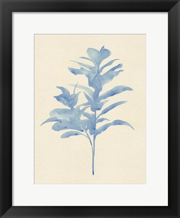 Framed Verditer Fig I Print