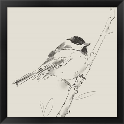 Framed Black Capped Chickadee I Print