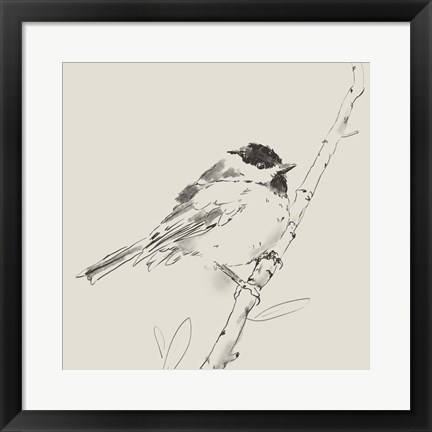 Framed Black Capped Chickadee I Print