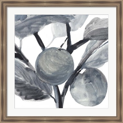 Framed Rustic Vine I Print