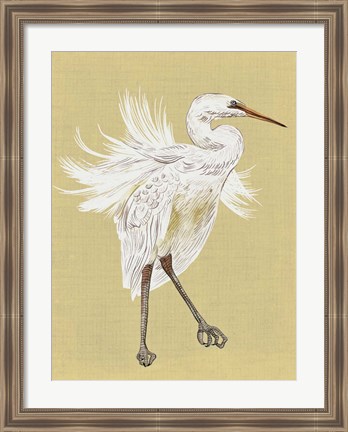 Framed Heron Plumage V Print