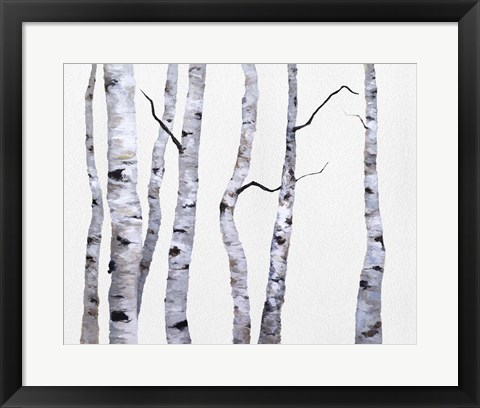 Framed Birch Trees I Print