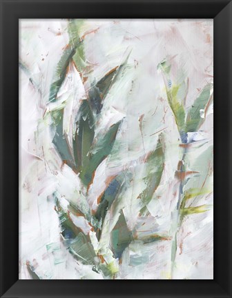 Framed Tropical Foliage Study II Print