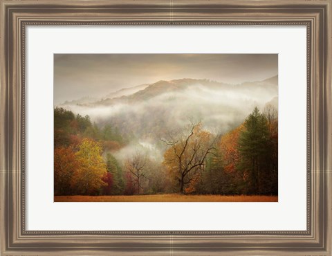 Framed Photography Study Autumn Mist Print