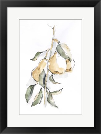 Framed Watercolor Fruit Contour I Print