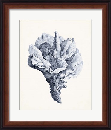 Framed Blue Antique Coral III Print