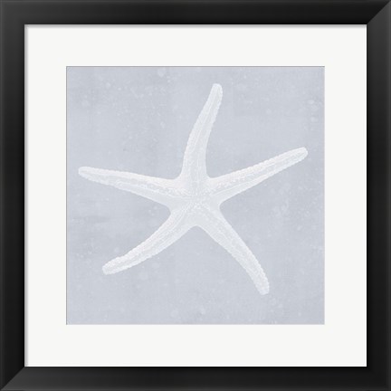 Framed Tide Pool Treasures II Print