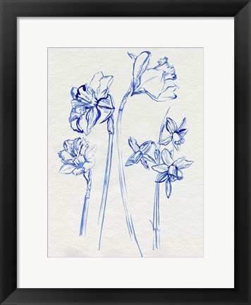 Framed Inky Daffodils I Print