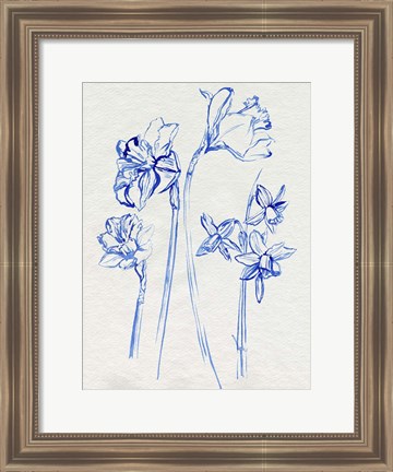 Framed Inky Daffodils I Print