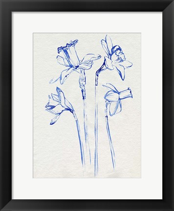 Framed Inky Daffodils II Print