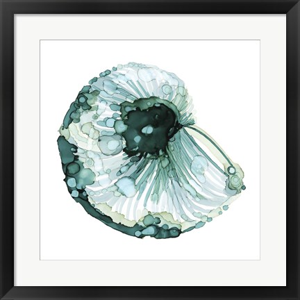 Framed Blue Barnacle I Print