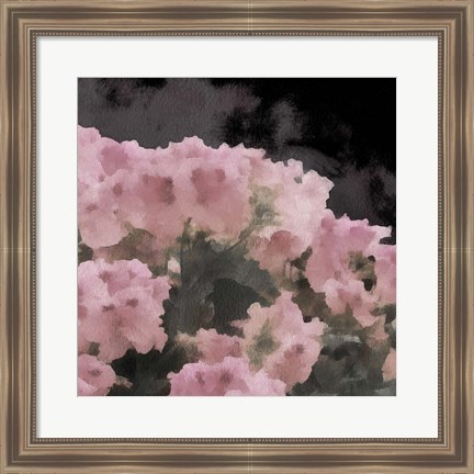 Framed Blush Rush II Print