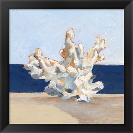 Framed Coral By the Shore IV Print