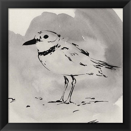 Framed Inky Plover II Print