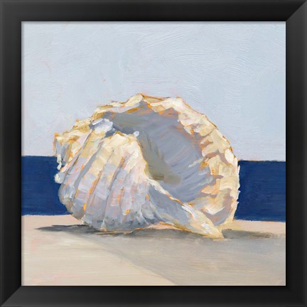 Framed Shell By the Shore II Print