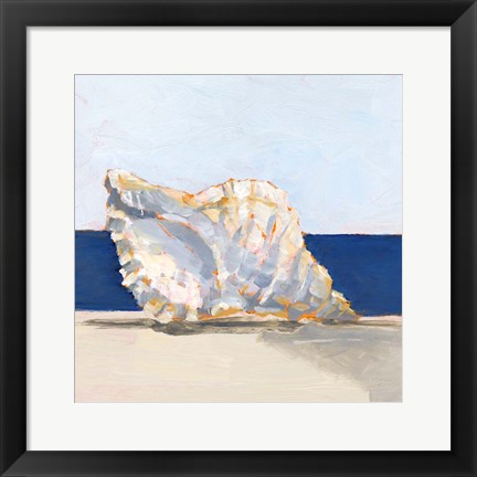 Framed Shell By the Shore III Print