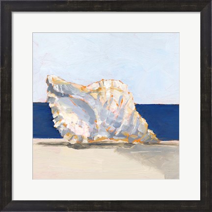 Framed Shell By the Shore III Print