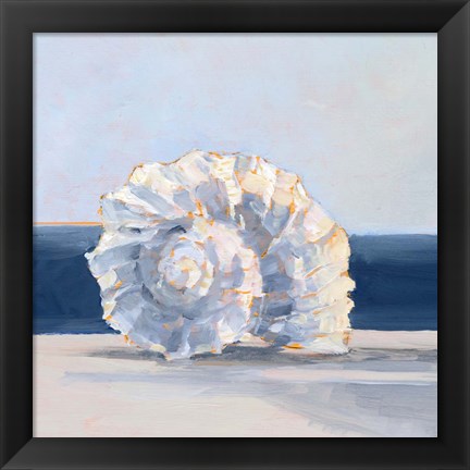 Framed Shell By the Shore IV Print