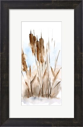 Framed Watercolor Cattail Study I Print