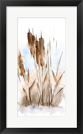 Framed Watercolor Cattail Study I Print