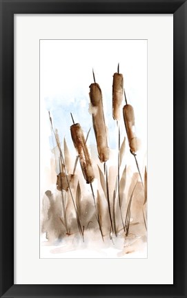 Framed Watercolor Cattail Study II Print