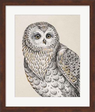 Framed Beautiful Owls IV Vintage Print