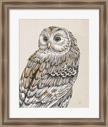 Framed Beautiful Owls III Vintage Print