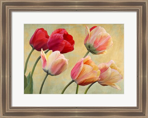 Framed Golden Tulips (detail) Print