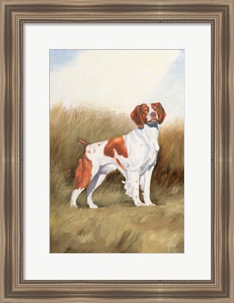 Framed Hunting Dog I Print