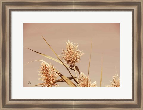 Framed Noon Grasses III Print