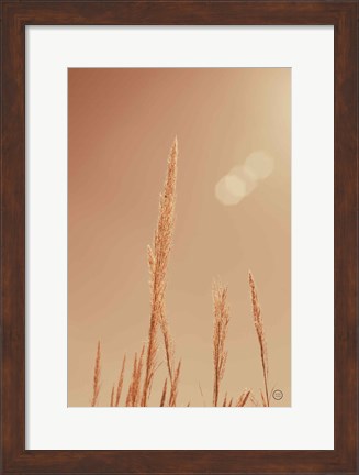 Framed Noon Grasses I Print