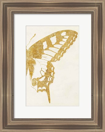 Framed Butterfly Wings II Print