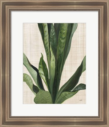 Framed Tropical Study III Linen Print