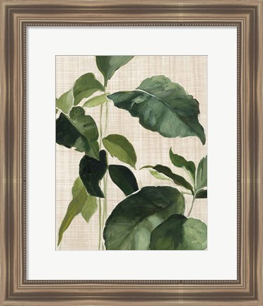 Framed Tropical Study II Linen Print