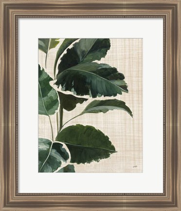 Framed Tropical Study I Linen Print