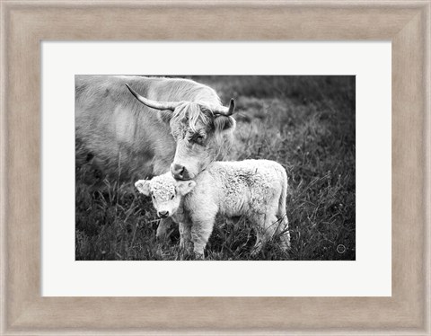 Framed Cow Care Print