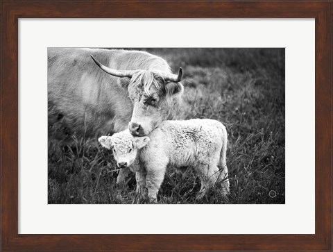 Framed Cow Care Print