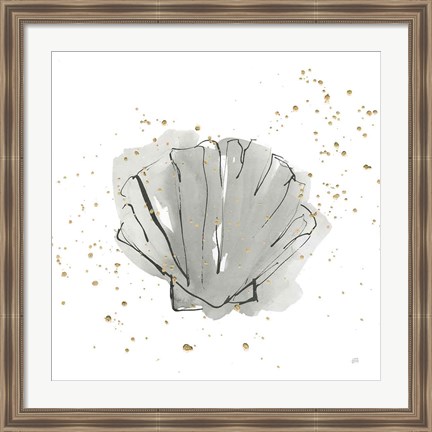 Framed Sea Scallop Print