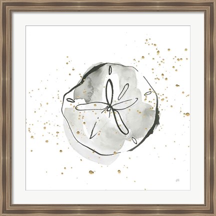 Framed Sand Dollar I Print