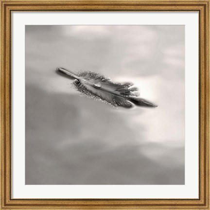 Framed Feather on Liquid Sky Print