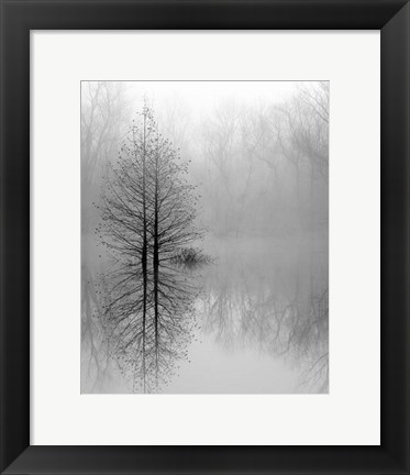 Framed Lake Trees in Winter Fog Print