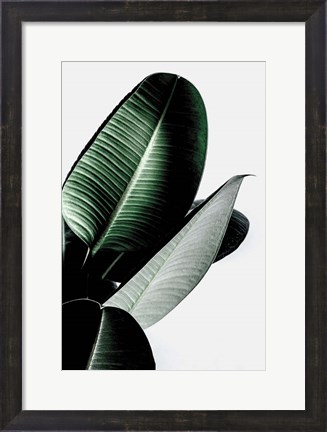 Framed Leaves Print