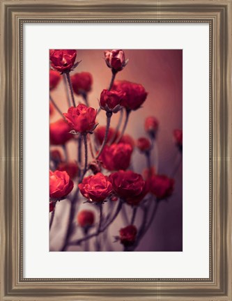 Framed Red Flowers Print