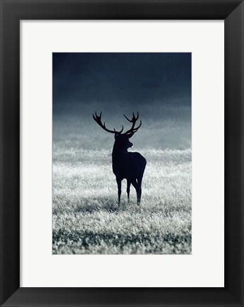 Framed Silhouette Deer Print