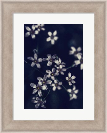 Framed Small Flowers Print