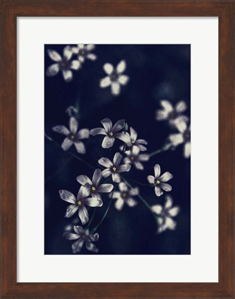 Framed Small Flowers Print