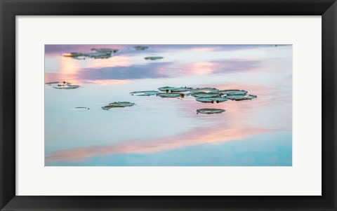 Framed Cloud Reflections Print