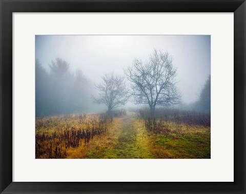 Framed Magic Meadow Apples Print