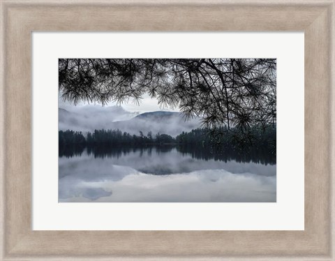 Framed Rainy Day Cooper Lake Print