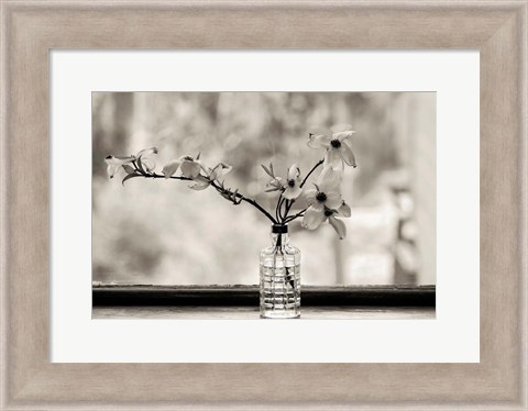 Framed Wild Dogwood Print